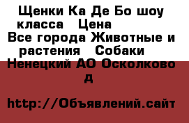 Щенки Ка Де Бо шоу класса › Цена ­ 60 000 - Все города Животные и растения » Собаки   . Ненецкий АО,Осколково д.